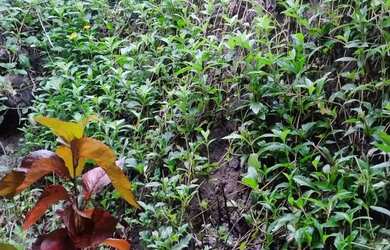 Imagem 13: Casa em Maria Paula. Ar-condicionado, 300m² de Área, 1 Vaga na garageme2...