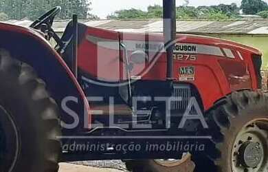 Imagem 15: Sítio em Santa Tereza do Oestes 15 alq Plantio de Soja Produção de 8.000 mil Lt Leite mês