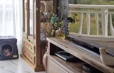 Imagem: O apartamento possui 3 Dormitórios, 2 Banheiros, 1 Vaga na