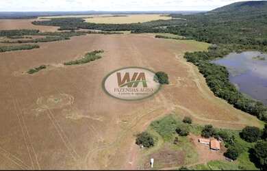 Imagem 3: Fazenda plantando soja em Porto Nacional- TO