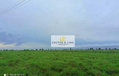 Imagem 8: Fazenda à venda, 100 alqueires por R$ 8.000.000 - Setor Central - TO