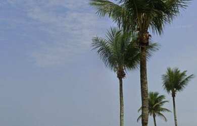 Imagem 13: Apartamento com 1 dormitório, 37 m² - venda por R$ 135.000,00 ou aluguel...