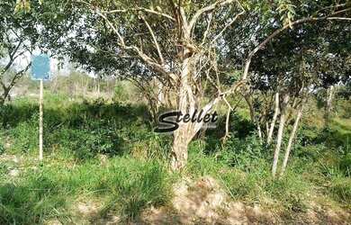 Imagem: O terreno possui 460m² de Área e está localizado em Colinas