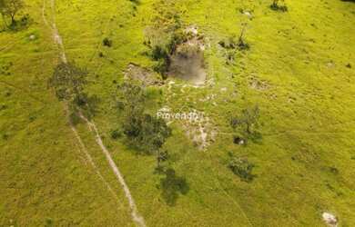 Imagem 8: FAZENDA PAPUANZAI DE BAIXO LOCALIZADO EM ABADIANIA - GO