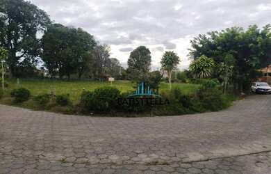 Imagem 3: Terreno à venda, 420 m² por R$ 276.000,00 - Ingleses do Rio Vermelho - Florianópolis/SC