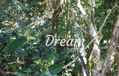 Imagem 4: Terreno à venda, 755 m² por R$ 150.000,00 - Albuquerque - Teresópolis/RJ