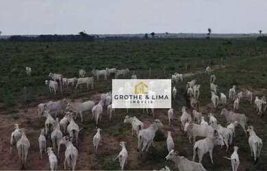 Imagem 4: Fazenda à venda, 505 Alqueirão por R$ 50.500.000 - Araguaína/TO