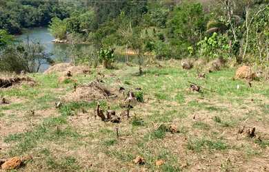 Imagem 14: Terreno em Nazaré Paulista