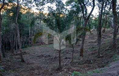 Imagem: O terreno possui 7127m² de Área e está localizado em Pedro