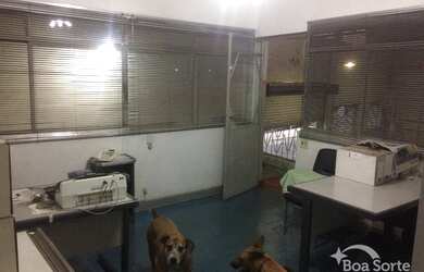 Imagem 13: Galpão à venda, 798 m² por R$ 3.350.000,00 - Brás - São Paulo/SP