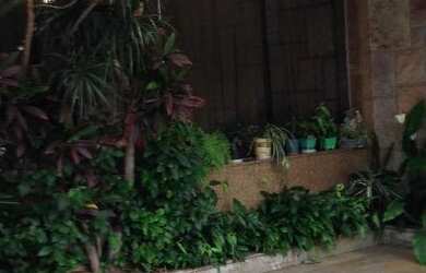 Imagem: Sobrado comercial à venda, Vila Gomes Cardim, São Paulo