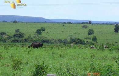 Imagem 14: Fazenda à venda, 8645 HECTARES por R$ 86.500.000 - Zona Rural - Tangará...