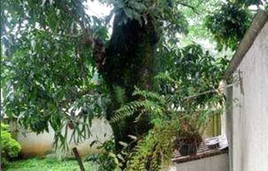 Imagem 14: Casa à venda, 265 m² por R$ 530.000,00 - Vila Yara - São Paulo/SP