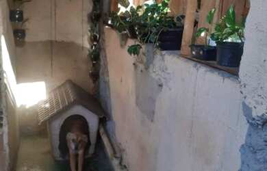 Imagem 10: Casa no Bairro de Piraja. Varanda, 80m² de Área, 2 Banheirose3 Dormitórios