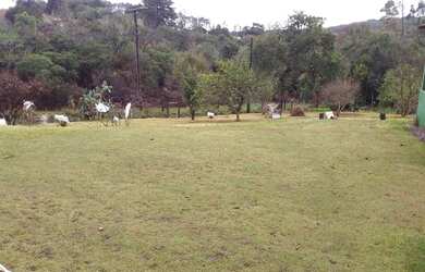 Imagem 3: Chácara 14.000 metros Piedade sp