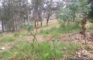 Imagem: O terreno possui 160m² de Área, Imóvel novo e está localizado