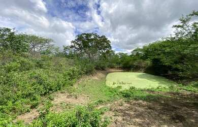 Imagem 13: Área à venda,140000m2 por R$750.000,00-4º Distrito- Zona Rural-Caruaru/PE