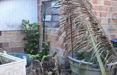 Imagem 5: Vendo ou troco casa valor 65 Mil bairro Colônia Antônio Aleixo