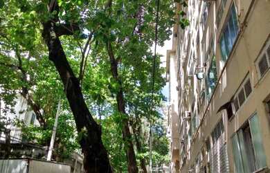 Imagem 1: Apartamento na Glória - Rio de Janeiro