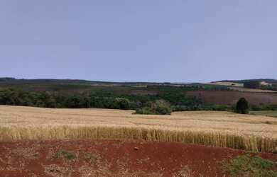 Imagem 9: Vendo - Distrito Paiquere - Sítio Taquara - Paiquere - Londrina - Paraná
