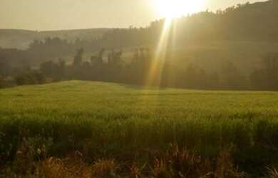 Imagem 4: Chácara Guaravera. 20.000m² de Área