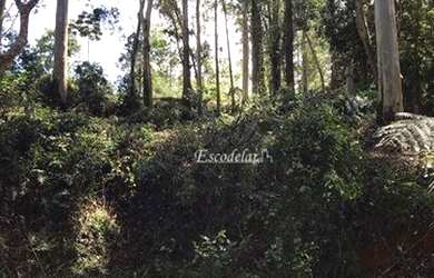 Imagem 3: Terreno à venda, 585 m² por R$ 398.000,00 - Jardim Peri - São Paulo/SP