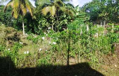 Imagem: O terreno possui 300m² de Área e está localizado em Arembepe