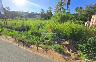 Imagem 2: Terreno as Margens da AL101 com 32 de frente pista, na rota Ecológica...