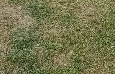 Imagem: O terreno possui 250m² de Área e está localizado em Parque