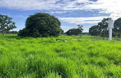 Imagem 12: FAZENDA EM BURITIZEIRO MG NA BEIRA DO RIO SÃO FRANCISCO FORMADA E COM...