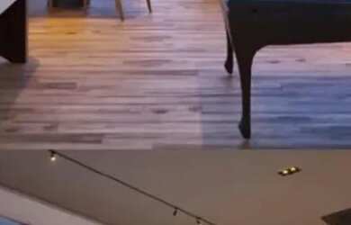 Imagem 7: Apartamento em Boa Viagem, perto do Le Parc Lançamento de altíssimo...