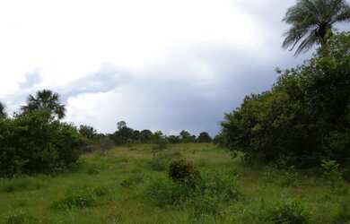 Imagem 5: Fazenda de 226 Hectares em Formoso MG Escriturada