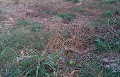 Imagem 1: Terreno. 500m² de Área