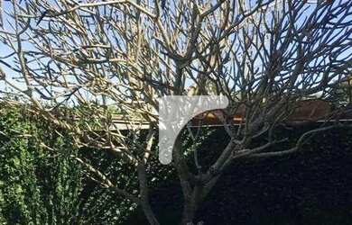 Imagem 2: Oportunidade Casa para locação em condomínio fechado