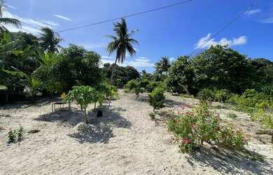 Imagem 10: Sítio estrada de GENIPABU VENDA OU TROCA