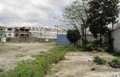 Imagem 14: SãO PAULO - Terreno Padrão - Parque Novo Mundo