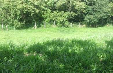 Imagem 1: Terreno à venda, 360 m² por R$ 223.000,00 - Reserva Vale Verde - Cotia/SP