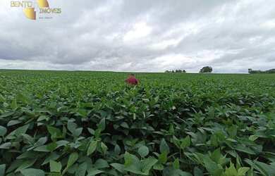 Imagem 13: Fazenda á 100km de Cuiabá à venda, 9700000 m² por R$ 15.000.000 -...