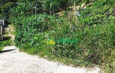 Imagem 1: Terreno à venda, 1460 m² por R$ 850.000,00 - Recreio São Jorge - Guarulhos/SP