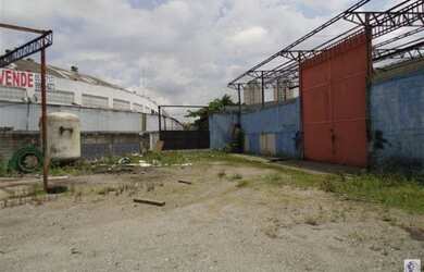 Imagem 7: SãO PAULO - Terreno Padrão - Parque Novo Mundo