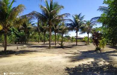 Imagem 16: Rancho com 3 dormitórios à venda por R$ 600.000 - Guaratiba - Prado/Bahia