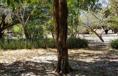 Imagem 8: Terreno à venda, 24200 m² por R$ 8.000.000,00 - Sabiaguaba - Fortaleza/CE