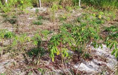 Imagem 4: Lindo terreno no condomínio rural Fazenda da Praia