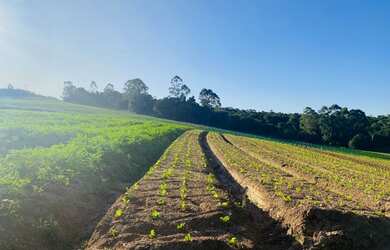 Imagem 2: Comece a Investir em Terrenos no Interior em Ibiúna SP