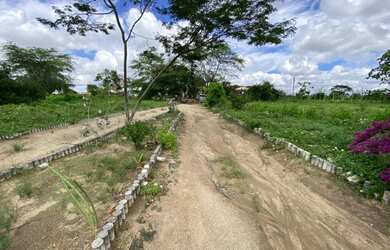 Imagem 2: Área à venda,140000m2 por R$750.000,00-4º Distrito- Zona Rural-Caruaru/PE