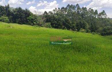 Imagem: O terreno possui 20.000m² de Área e está localizado em Biritiba