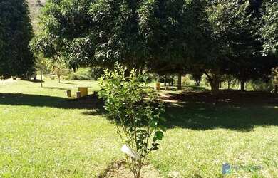 Imagem 10: Terreno à venda, 500 m² por R$ 203.000,00 - Taruaçu - São João Nepomuceno/MG