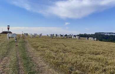 Imagem 3: Fazenda com 3 dormitórios à venda, 2420000 m² por R$ 10.000.000,00...