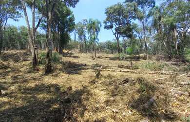 Imagem: O terreno possui 1.000m² de Área e está localizado em Centro