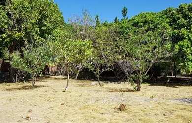 Imagem 10: Terreno à venda, 24200 m² por R$ 8.000.000,00 - Sabiaguaba - Fortaleza/CE